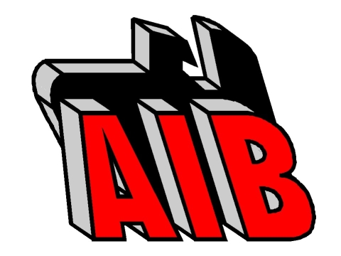 20150202AIB logo